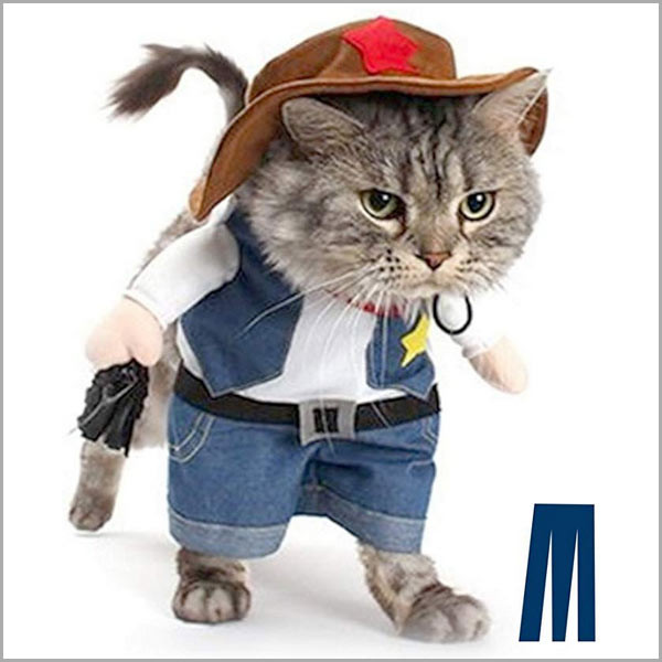 Rodeo Kitty Cat Costume