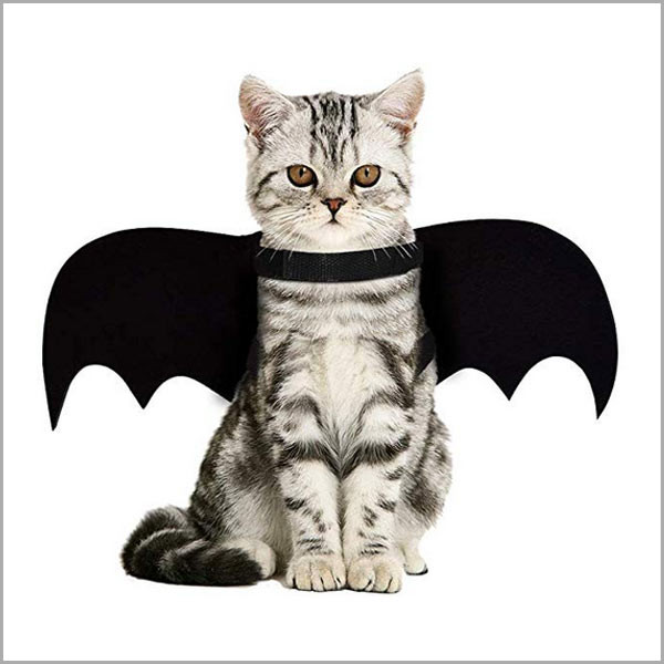 Cat Bat Wings Costume