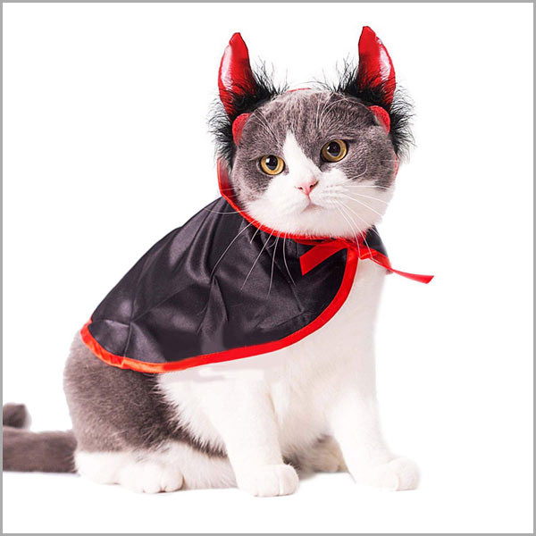 Devil Horns Cat Costume