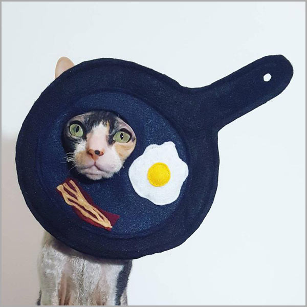 Eggs and Bacon Cat Costume