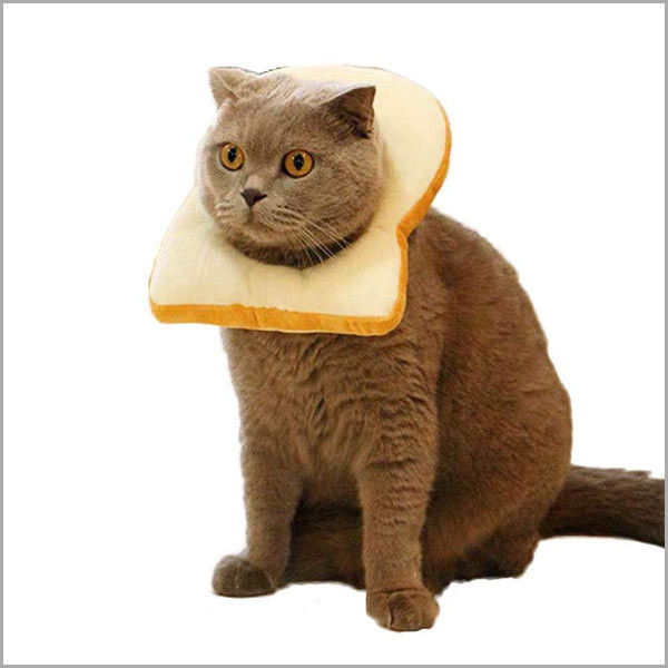 Avocado Toast Headpiece Cat Costume