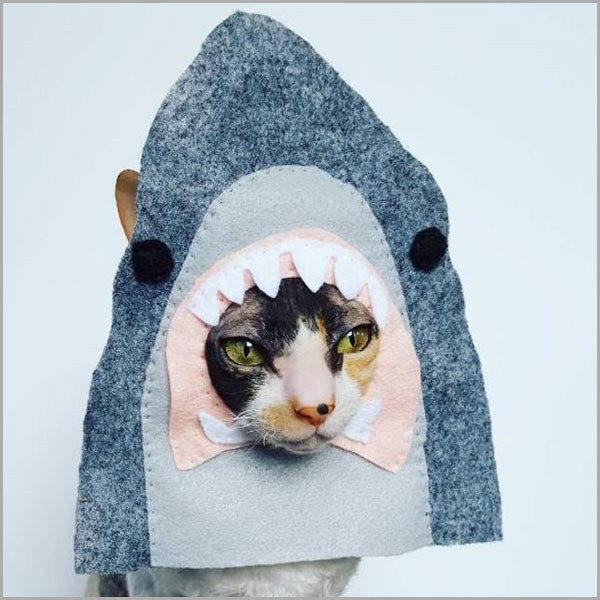 Shark Fin Cat Costume