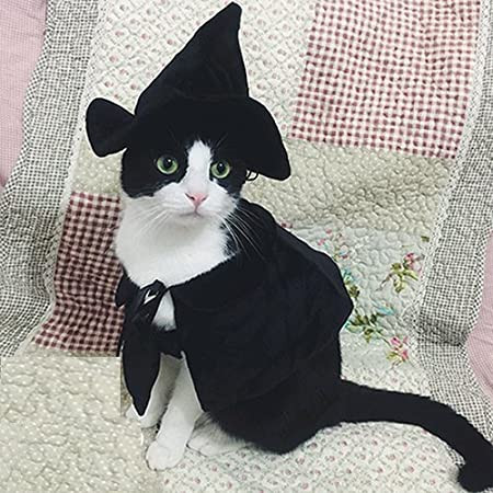 Witch Hat Cat Costume