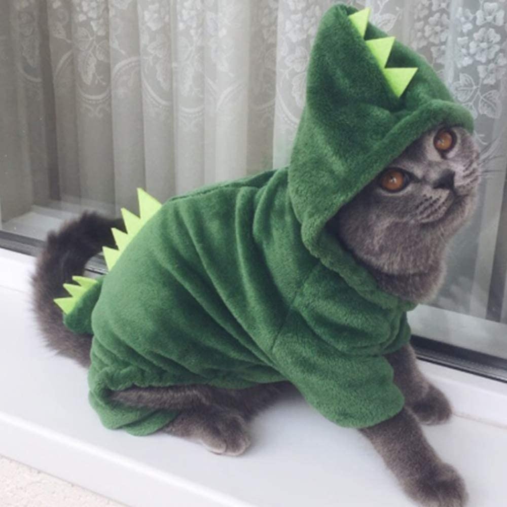 Cat Dinosaur Costume