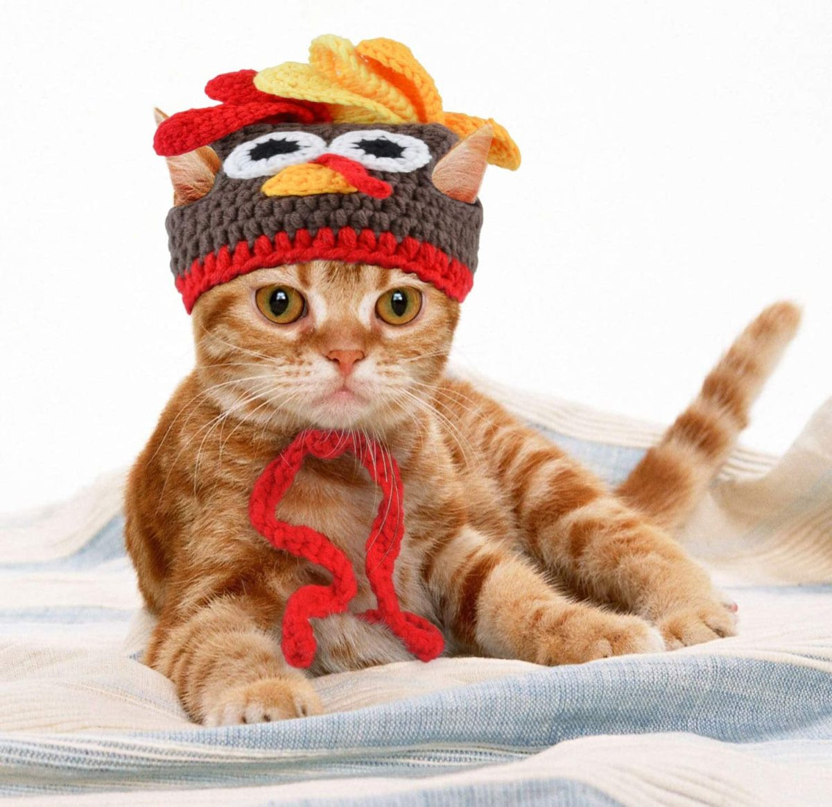 Turkey Hat Cat Costume