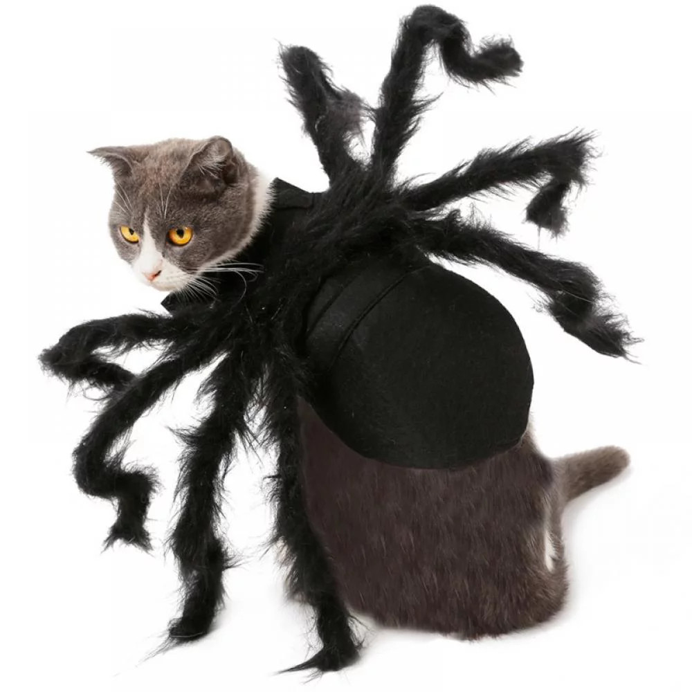 Spider Legs Cat Costume
