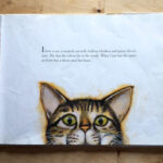 Woogie the striped cat is introduced as a luck cat
