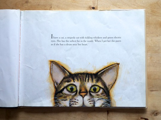 Woogie the striped cat is introduced as a luck cat