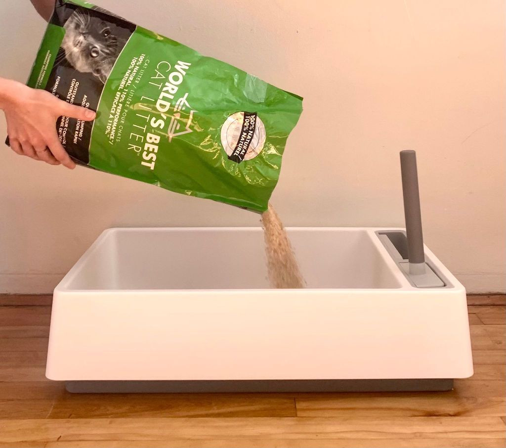 Pouring World's Best Cat Litter into Cove Litter Box