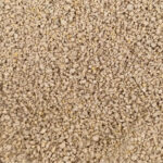 World's Best Cat Litter Texture