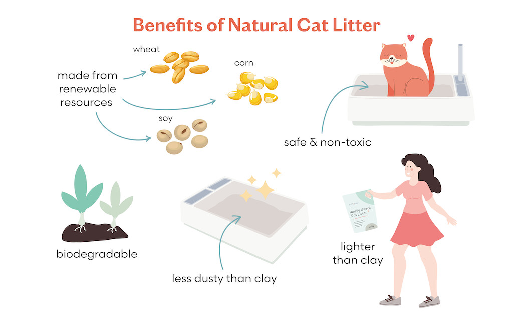 Benefits of Natural Cat Litter