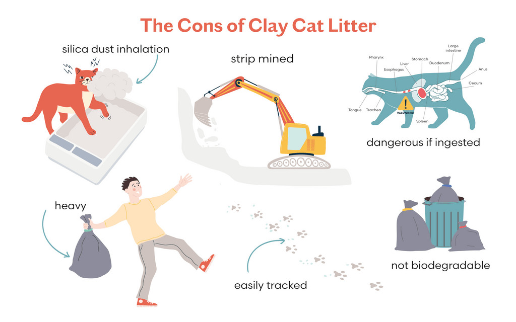 The Downsides of Clay Cat Litter
