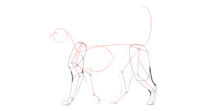 Visualizing loose skin on cat anatomy for drawing