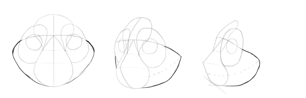 Drawing jawline for cat head