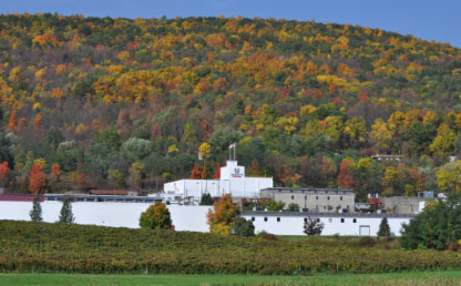 Hazlitt's acquisition of Widmer Wine Cellars in 2011, expanding Red Cat wine production