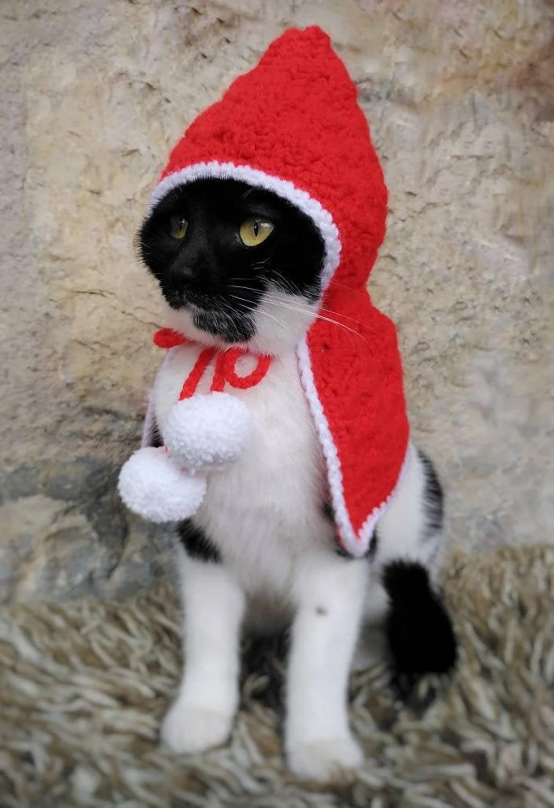 Little Red Riding Hood Cat Costume