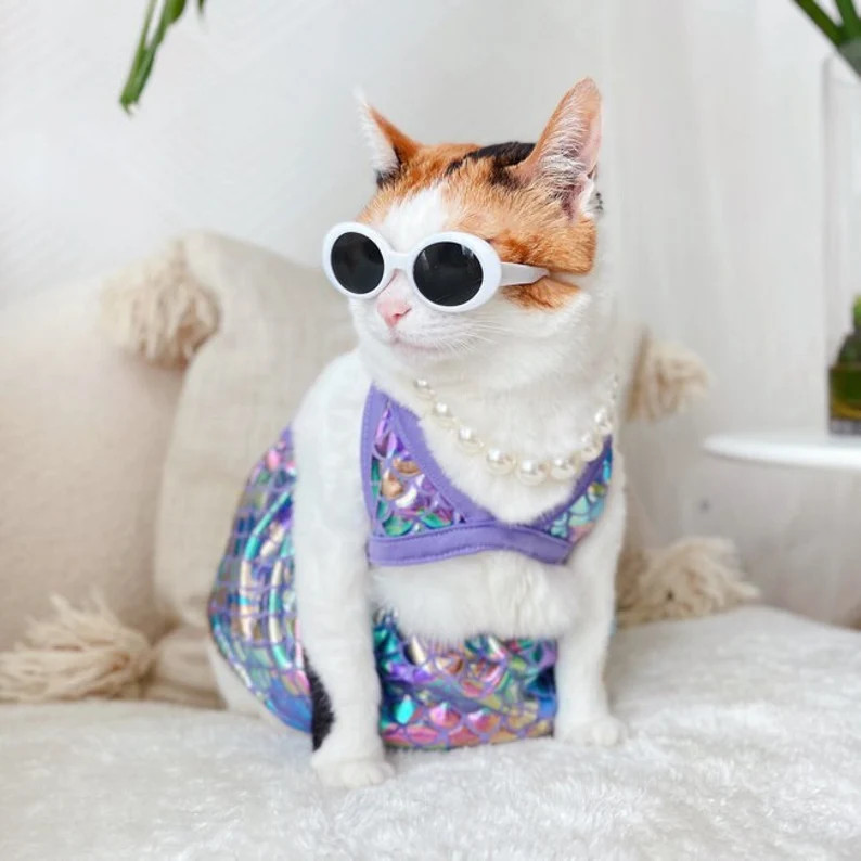 Mermaid Tail Cat Costume
