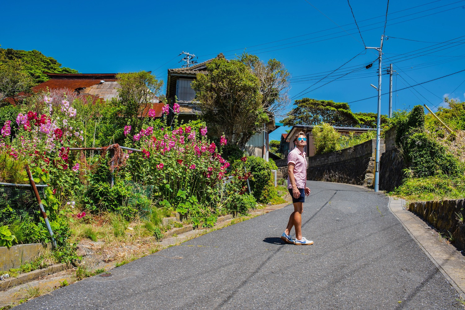 Discovering Japan Cat Island: A Feline Paradise or Tourist Trap?