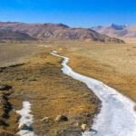 Ladakh's Frozen Marshes: Habitat of the Elusive Pallas's Cat