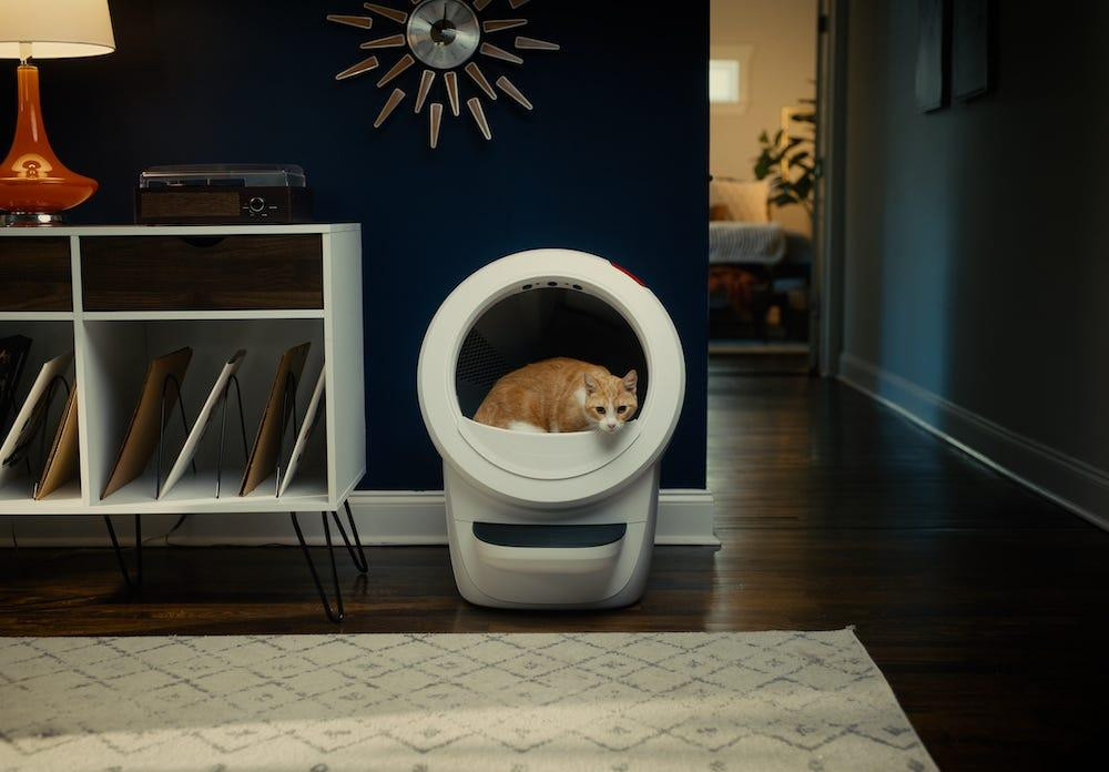 An orange tabby cat comfortably using the Litter-Robot 4