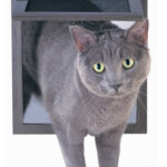 Cat door installation steps