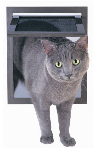 Cat door installation steps