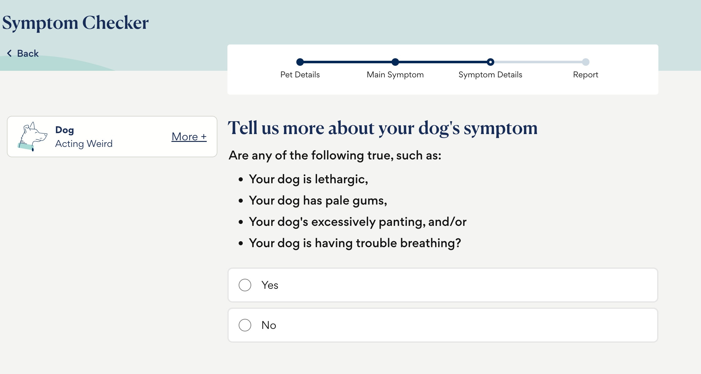petmd symptom checker tool interface step 3