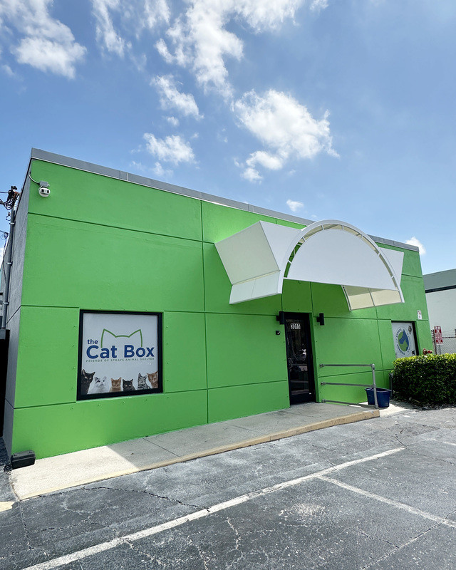 The Cat Box Adoption Center grand opening: Friends of Strays opens new cat adoption facility in St. Petersburg