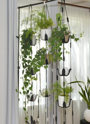 Vertical garden with various plants, inspiring creative and safe plant displays in a cat-friendly home.
