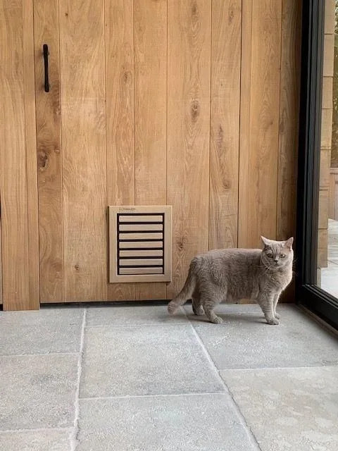 Wood Cat Door for Door