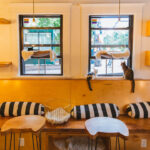 Passersby on Capitol Hill can spot Neko's feline residents through the basement windows at this Seattle cat cafe.