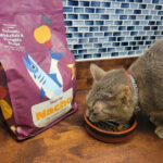 A ginger cat, Bagel, enthusiastically eats Made by Nacho Salmon and Whitefish dry cat food from a silver bowl on a kitchen counter.