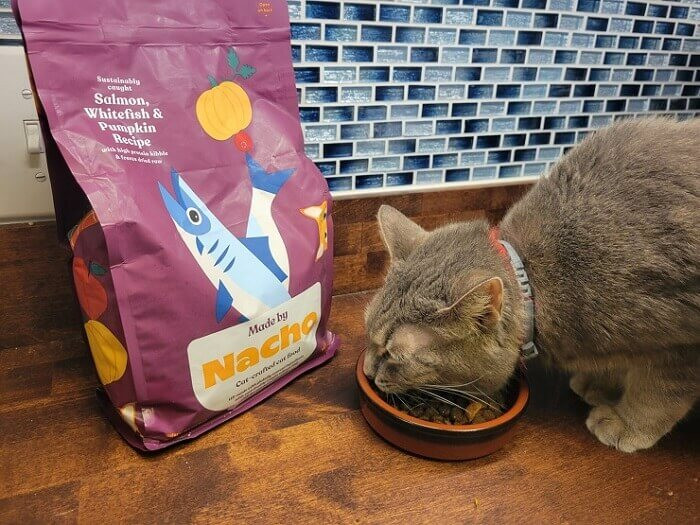 A ginger cat, Bagel, enthusiastically eats Made by Nacho Salmon and Whitefish dry cat food from a silver bowl on a kitchen counter.