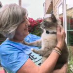 Benny and Susanne Anguiano, reunited with Rayne Beau, their cat who remarkably traveled 900 miles from Yellowstone National Park back to California after getting lost.