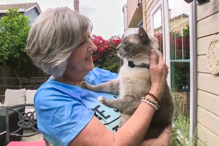 Benny and Susanne Anguiano, reunited with Rayne Beau, their cat who remarkably traveled 900 miles from Yellowstone National Park back to California after getting lost.