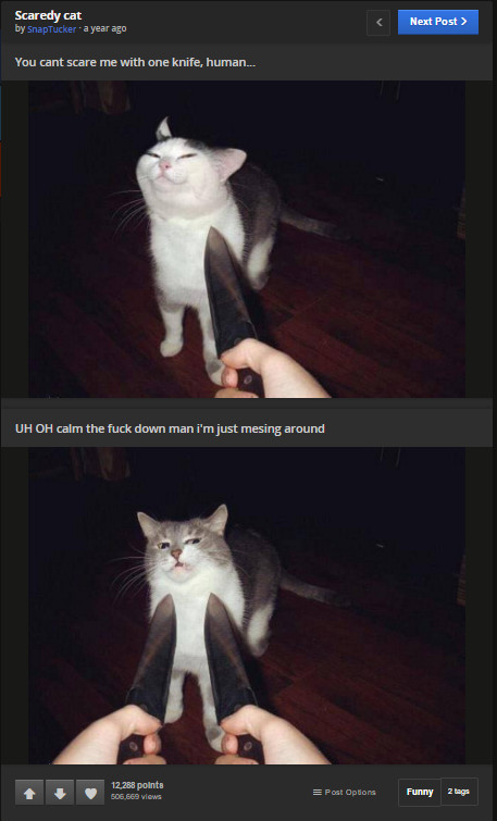 Knife Cat Meme: A smug-faced cat photoshopped onto a scared cat being threatened with a knife.