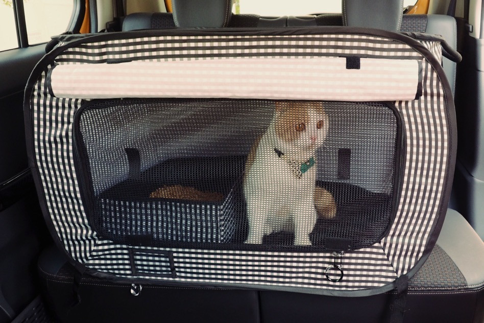 Soft sided kennel