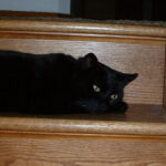 Fall_2004__40_.jpg