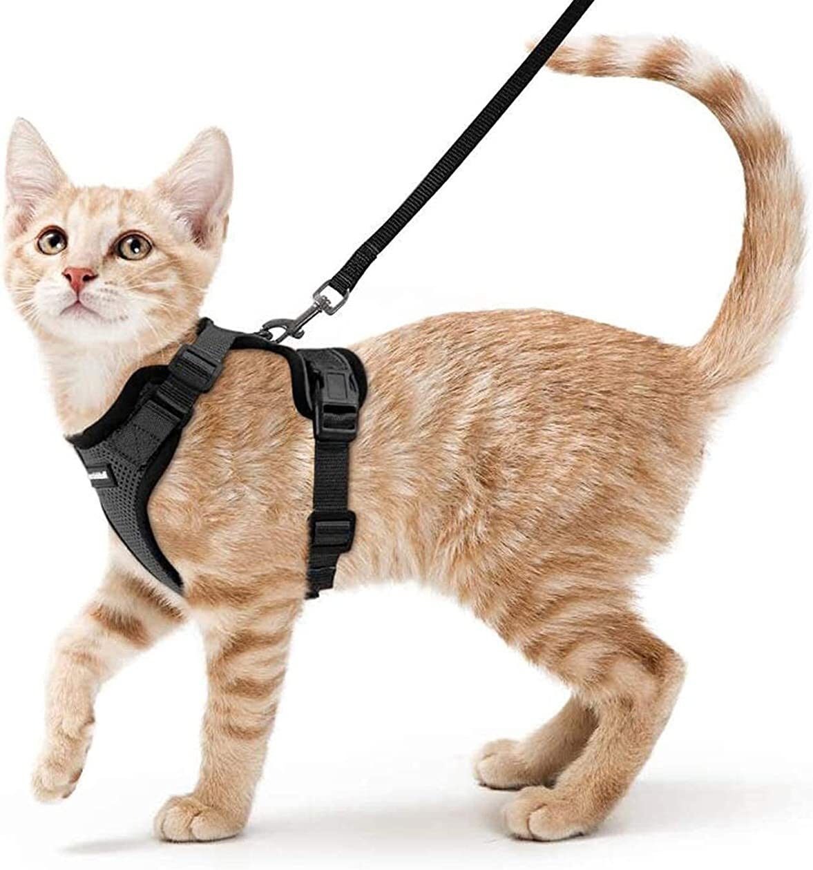 Rabbitgoo Cat Harness and Leash