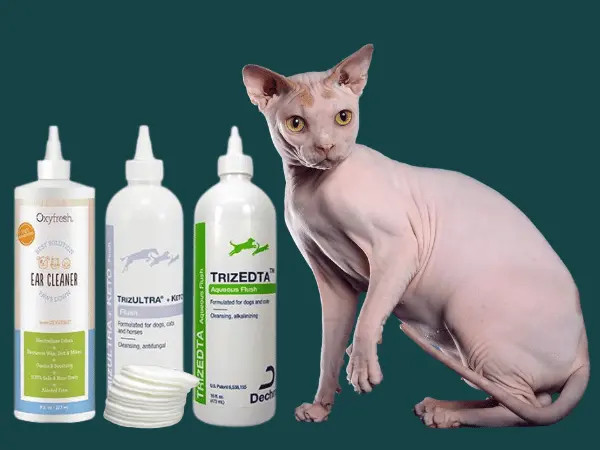 A cat sitting beside different brands of medicated cat ear cleaners that are only used when recommended by a veterinarian