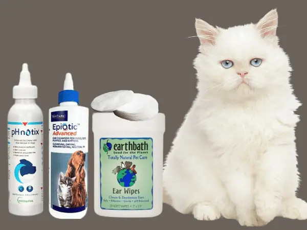 A cat sitting beside different brands of cat ear cleaners or ear wash for cats that can be used regularly