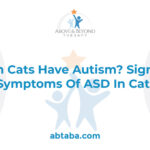A ginger cat looking intently at something off-camera, with a slightly puzzled expression, representing the curious nature of feline behavior and questions around cat autism.
