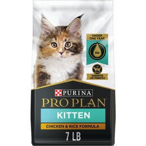 Purina Pro Plan Kitten Chicken &amp; Rice Formula Dry Cat Food, 7-lb bag