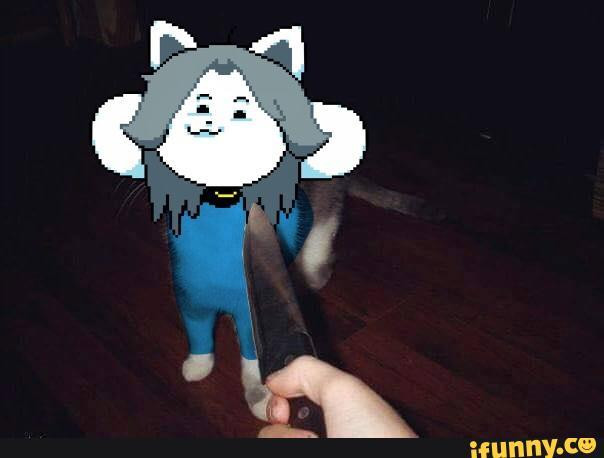 A humorous Knife Cat Meme image showcasing the meme's absurd and comedic nature.