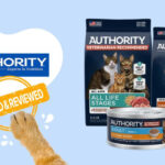Authority Cat Food Brand Review