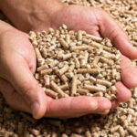Pellet Cat Litter Pros
