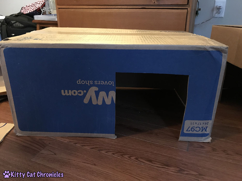 Cutting entry holes into cardboard boxes to create tunnels and rooms in the cat castle.