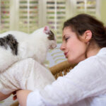 Peaceful coexistence of a cat and a newborn baby at home.