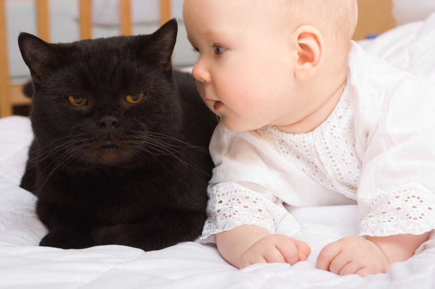 A cat carefully watching over a newborn baby in a crib.