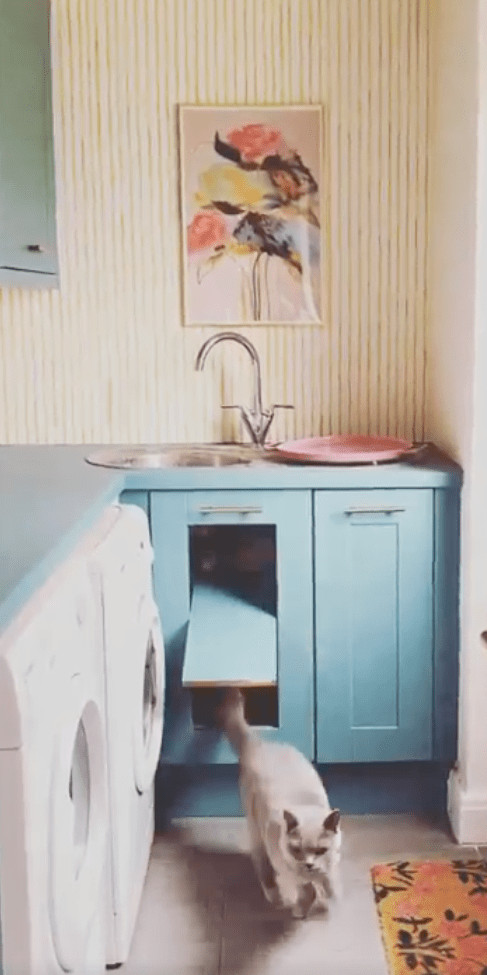 Cat-door-interior-cabinet-option-.webp